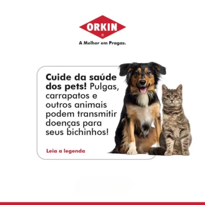 orkin-rs-cuide-dos-pets
