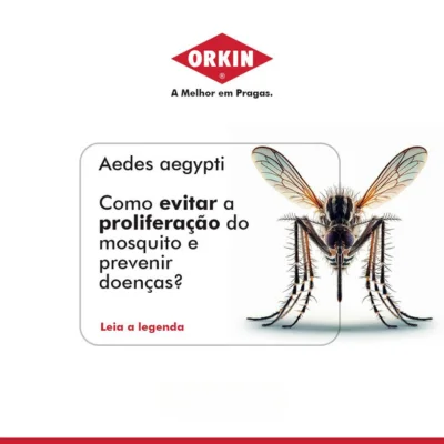 orkin-rs-mosquitos-verao